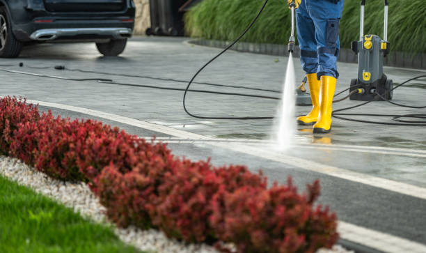 Best Fence Cleaning  in Cedar Bluff, AL
